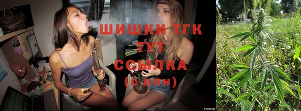 гидра Ладушкин